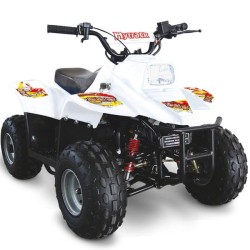 Quad Enfant Hytrack HY 50 SX