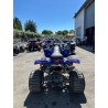 Quad GasGas 450 HP wild
