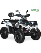Quad électrique