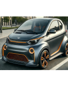 voiture sans permis